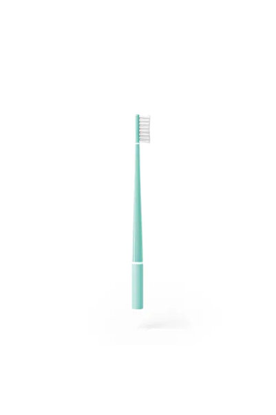 PİUMA Puma T03 Echinacea Brush