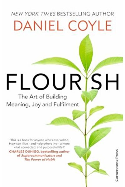 CornerStone Flourish: The Art of Building Meaning, Joy and Fulfilment