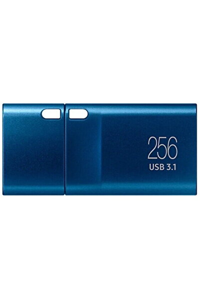 Samsung Type-C 256 GB Blue