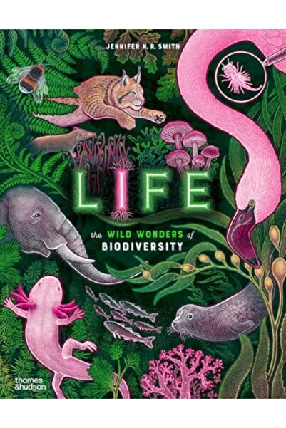 Thames & Hudson لايف ستايل