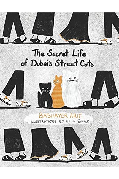 The Dreamwork Collective The Secret Life of Dubai Street Cats