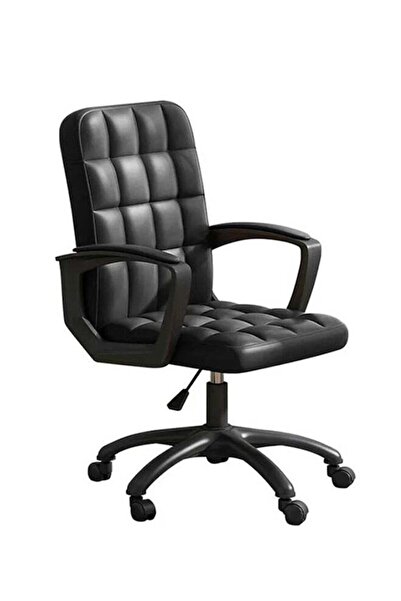 Arabest Single Person Rotating Lift Chair,Adjustable Angle ,Gift for Family a...