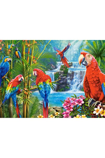 Castorland Puzzle 2000 pieces - Parrot Meeting (Castorland-200870)