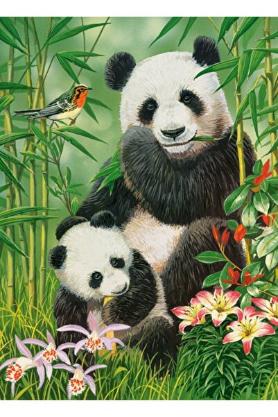 Castorland Puzzle 300 pieces - Panda Brunch (Castorland-030507)