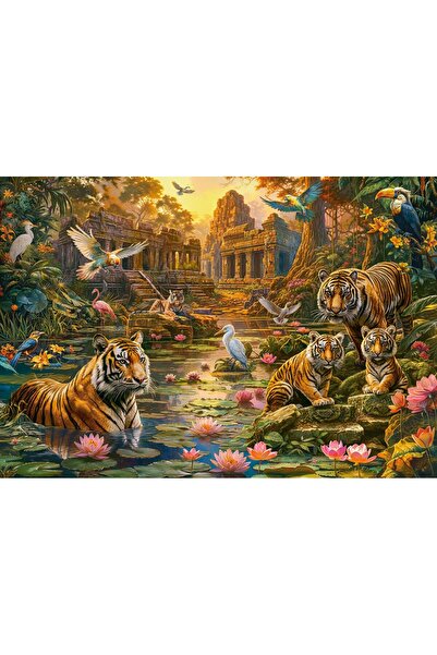 Castorland Puzzle 1000 pieces - Tigers Paradise (Castorland-105199)