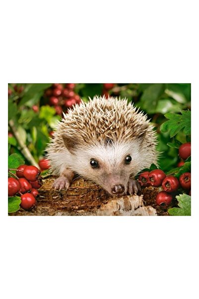 Castorland Puzzle - Hedgehog with Berries, 100 pieces (111145)