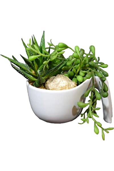 Goliat Mix sukulentów w białej ceramicznej doniczce z rączką