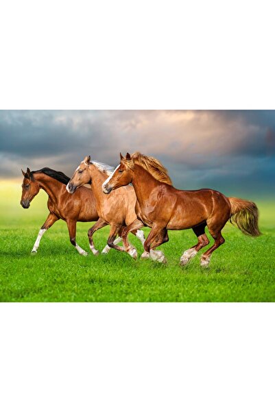 Castorland Puzzle 500 pieces - Horses in Spring Rush (Castorland-54084)