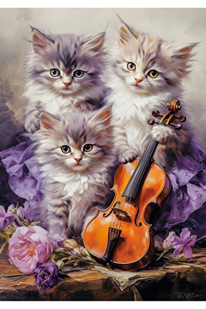 Castorland Puzzle 500 pieces - Musical Kittens (Castorland-53988)