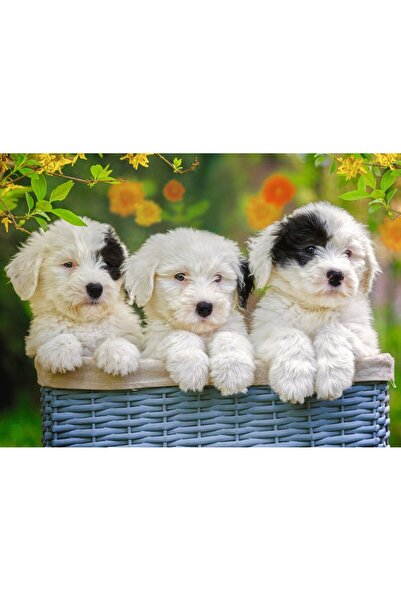 RAVENSBURGER Παζλ - Χαδιάρικα Κουτάβια, 200 κομμάτια XXL (12765)