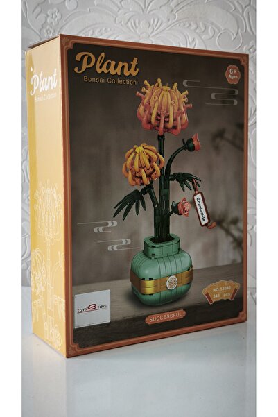 PLANT Bonsai Collection Successful Papatya Flower Making Set - Chamomile 345 ...