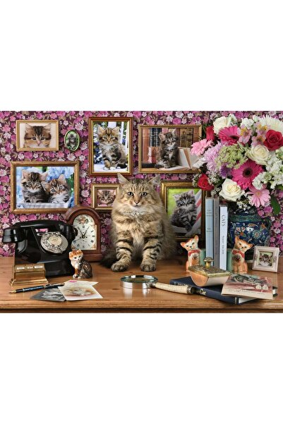 RAVENSBURGER Puzzle - My Kittens, 1000 pieces (15994)