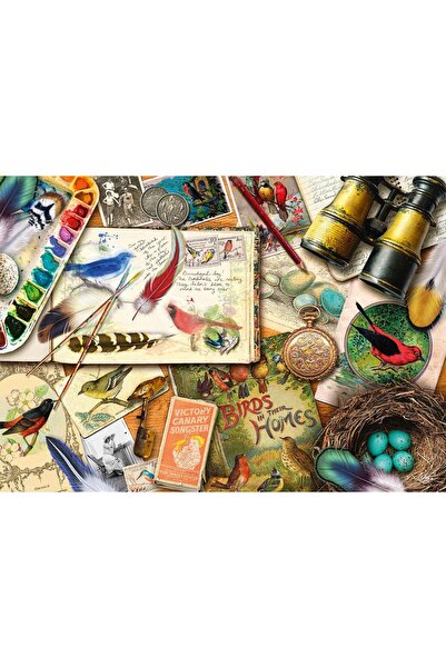 Schmidt Puzzle 1000 de piese - Aimee Stewart: Servit - Observarea păsărilor (...