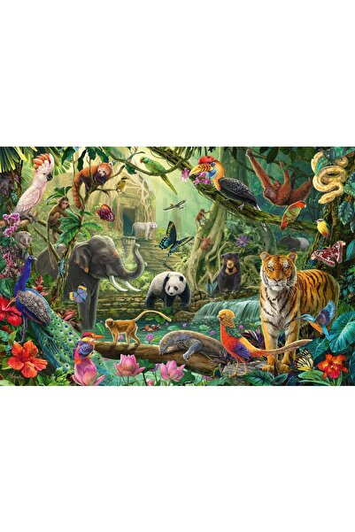 Schmidt Puzzle 100 piese - Colourful Jungle Wildlife (Schmidt-56485)