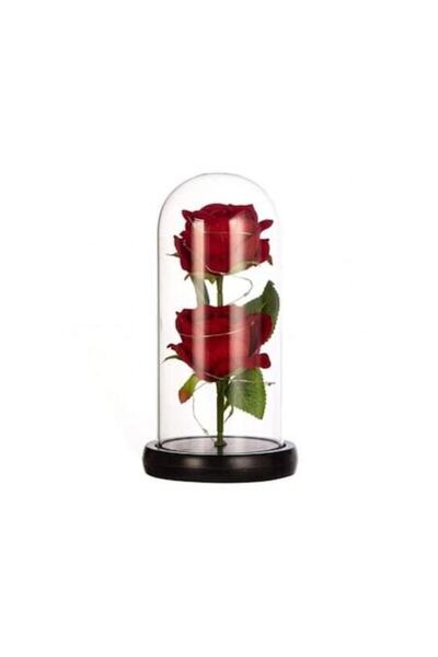 OEM Set of 2 Roses in Glass Dome