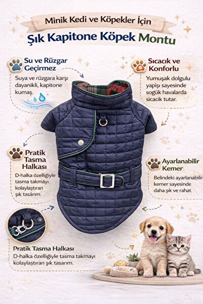 Lacivert Kedi Köpek montu kemerli