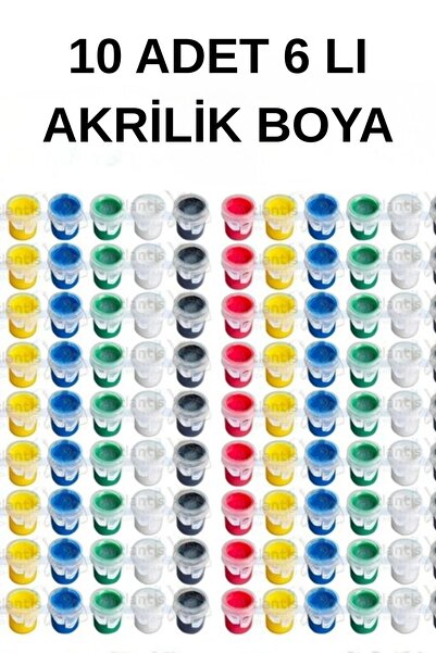 everart 10 Adet Akrilik Boya 6 Renk Etkinlik Boyama ,tuval, taş boyama