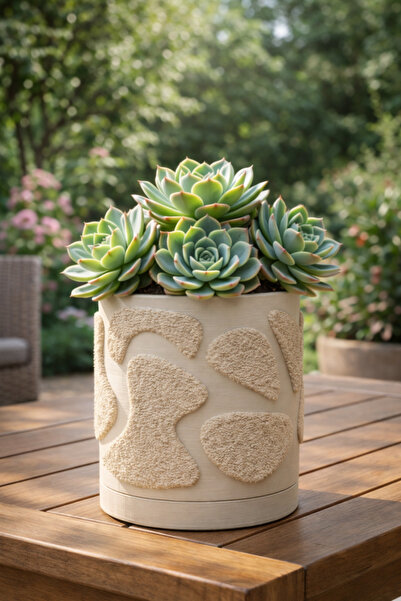 Kafs Store Dekoratif Bej Saksı 11x10 cm – Drenaj Delikli Sukulent ve Kaktüs S...