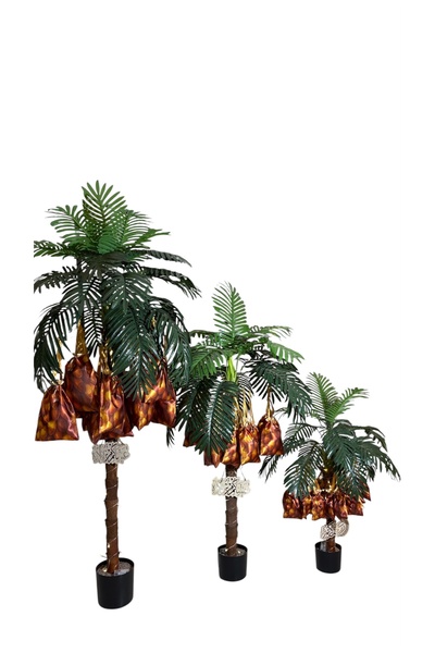 Generic شجرة نخيل توزيعات با اكيس مزينة بتمور