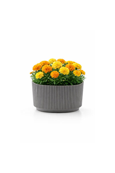 Melkan Home Kübik Çizgili Saksı 1 Litre | Su Hazneli Modern Dekoratif Saksı |...