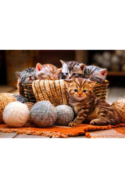 Bluebird Puzzle 1000 piese Puzzle - Kittens in Basket (Bluebird-Puzzle-F-90264)