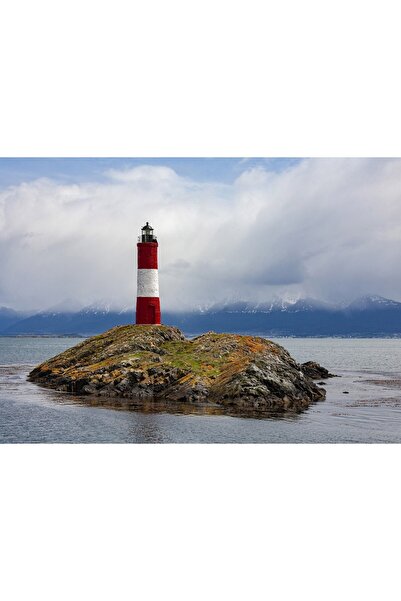 Bluebird Puzzle 500 piese Puzzle - Les Eclaireurs Lighthouse, Argentina (Blue...