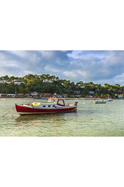 Bluebird Puzzle 1000 piese - Bateaux dans le Bassin d'Arcachon (Bluebird-Puzz...