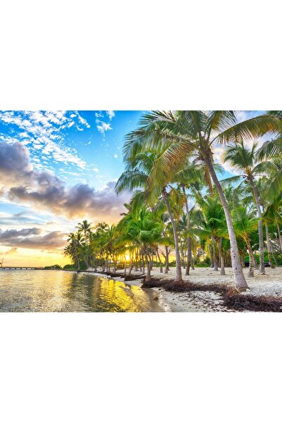 Bluebird Puzzle 500 pieces Puzzle - Guadeloupe - Anse Champagne (Bluebird-Puz...