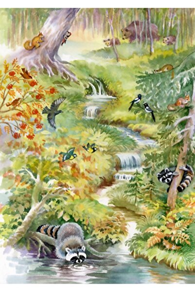 Bluebird Puzzle 1000 pieces Puzzle - Forest Animals (Bluebird-Puzzle-F-90135)