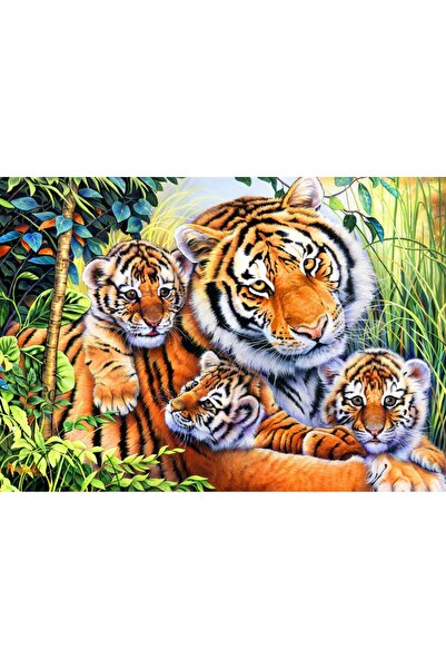 Bluebird Puzzle - Lily's Pride, 1000 pieces (70080)