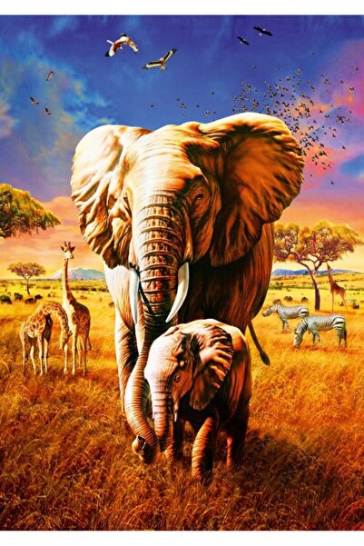 Bluebird Puzzle - Adrian Chesterman: Elephant, 1000 pieces (70314-P)