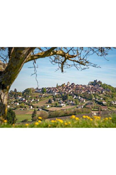 Bluebird Puzzle 1000 pieces - Sancerre, Centre-Val de Loire, France (Bluebird...