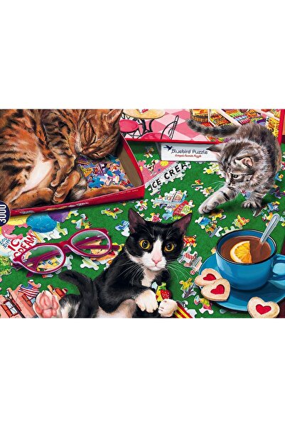 Bluebird Puzzle 3000 pieces Puzzle - Puzzle Cats (Bluebird-Puzzle-70567-P)