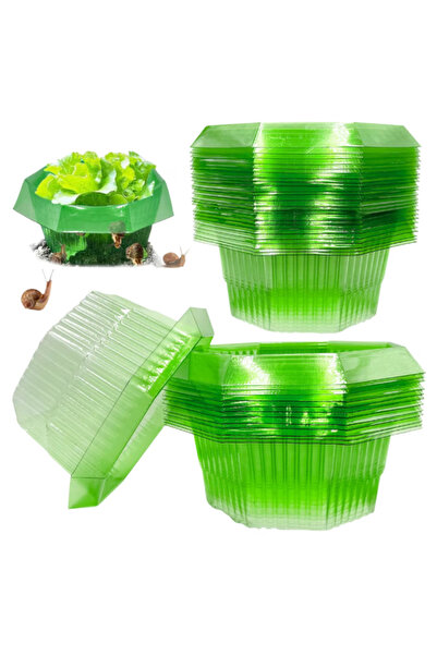 Dotail Σετ 20 προστατευτικών κολάρων για φυτά, πράσινο, 24x12cm