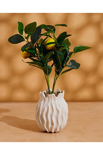 REDTAG نبتة اصطناعية خضراء في وعاء خزفي أبيض