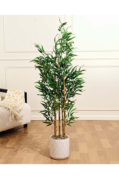 REDTAG Green Artificial Bamboo In Ceramic Pot