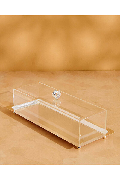 REDTAG صينية معدنية مستطيلة فضية اللون بغطاء أكريليك (كبيرة)