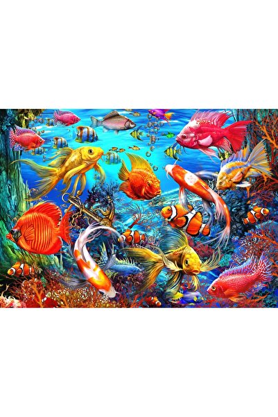 Bluebird Παζλ 500 κομμάτια - Marchetti Ciro: Τροπικά Ψάρια (Bluebird-Puzzle-F...