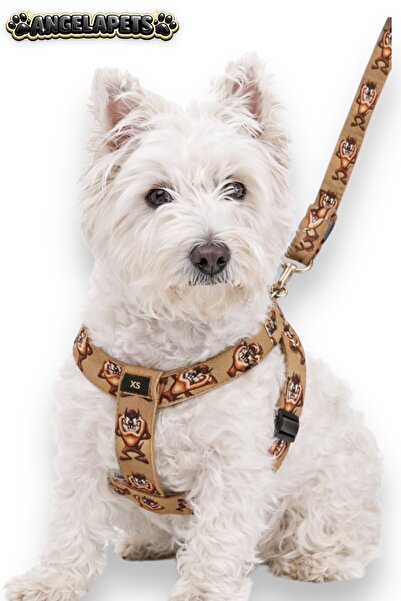 Angelapets Dog Chest Harness and Walking Strap Set