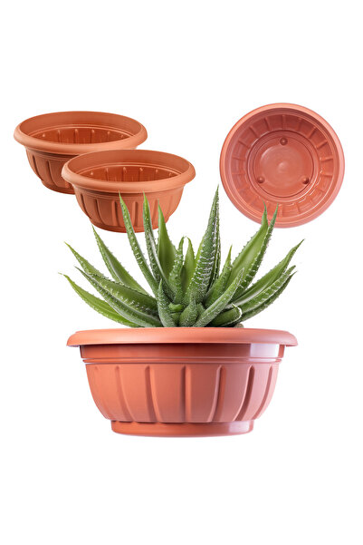 KADAX Capac pentru ghiveci de flori, bol, flori de mormânt, plastic, 26cm, 2 ...