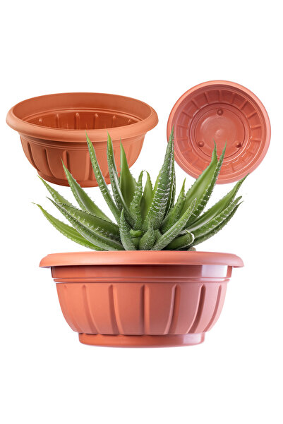 KADAX Capac pentru ghiveci de flori, bol, pentru flori de mormânt, din plasti...