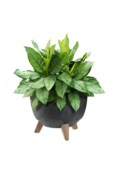 KADAX Ghiveci de flori 29cm, capac + picioare, suport de flori din plută, negru