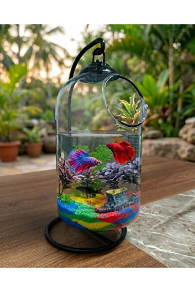 Heryerden Akvaryum Askılı Fanus Teraryum Ferforjeli Akvaryum Beta Balığına Uygun
