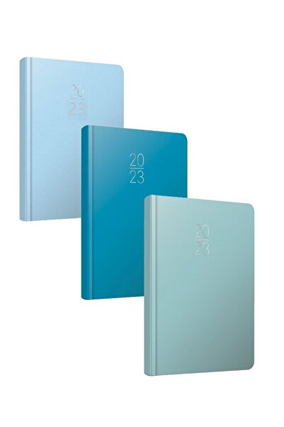 Gıpta 2023 107-ECK 17X24 Eski Ajanda Set