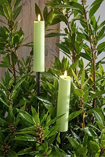 Tchibo 2 LED Garden Torches, Green