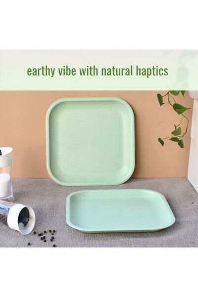 REuse Reusable Square Plate 8 inch | 1 piece | Made from coffee husks | Celes...