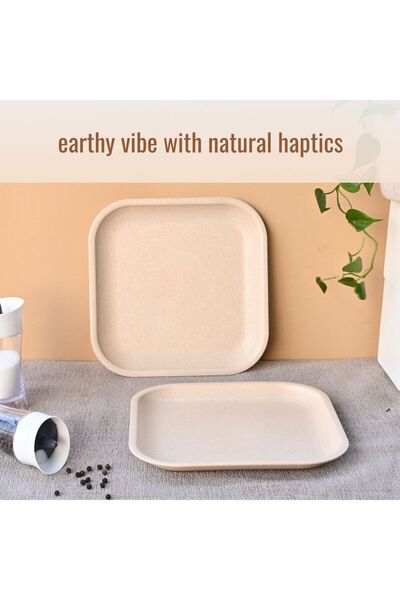 REuse Reusable Square Plate 8 inch | 1 piece | Made from coffee husks | Sand ...
