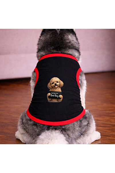 petite pati تي شيرت أسود اللون للكلاب من نوع ووتر هوند (100% قطن ممشط قطن٪) ل...