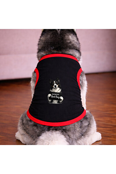 petite pati تي شيرت أسود اللون للكلاب من نوع Border Dog (100% قطن ممشط قطن%) ...