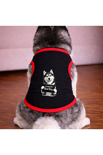 petite pati تي شيرت أسود اللون للكلاب من نوع هاسكي (100% قطن ممشط) للسلالات ا...